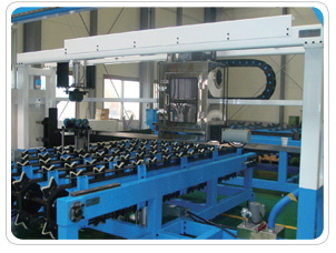 Brush Type Rod Washing Machine–SRWS 