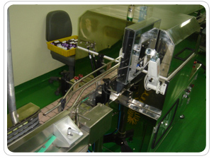 Label vision inspection machine 